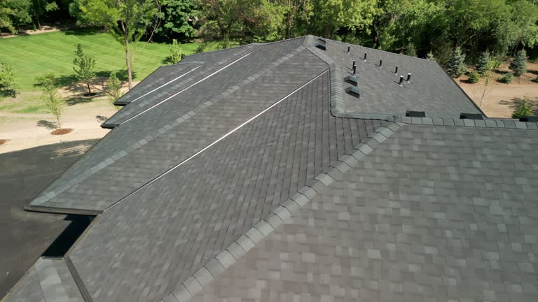 Roof Coating Services in Platte, SD