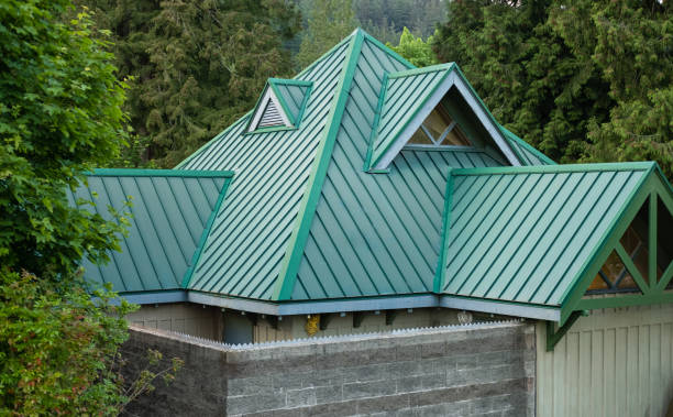 Best Roof Moss and Algae Removal  in Platte, SD