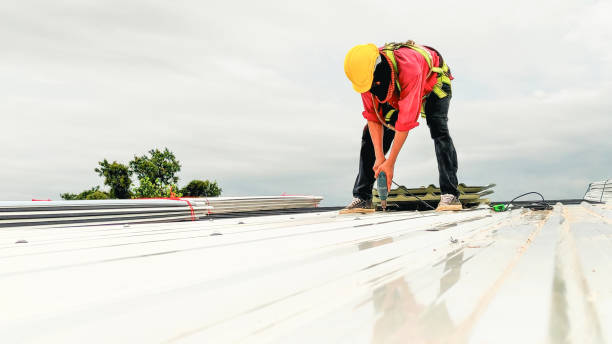 Best Metal Roofing Installation  in Platte, SD