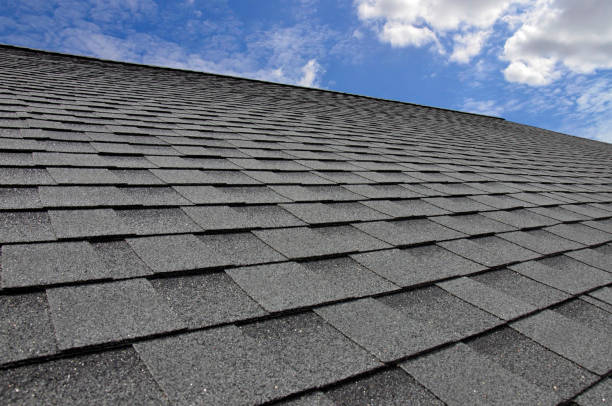 Best Rubber Roofing (EPDM, TPO)  in Platte, SD